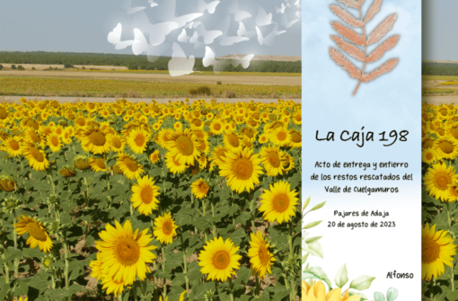 Ecos y Serendipias