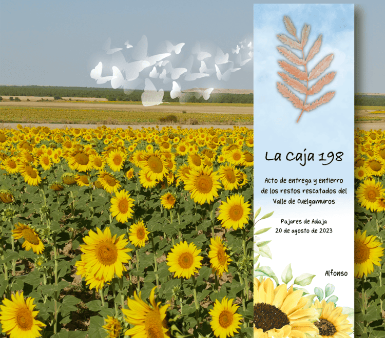 Ecos y Serendipias